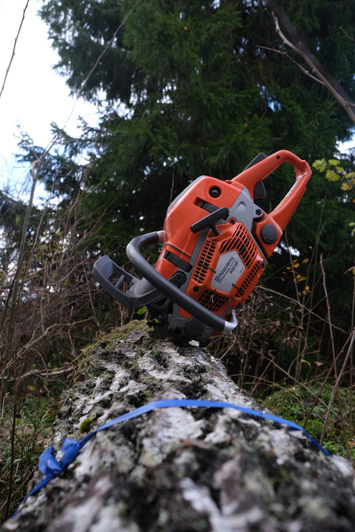 Husqvarna motorsåg mot björkstam